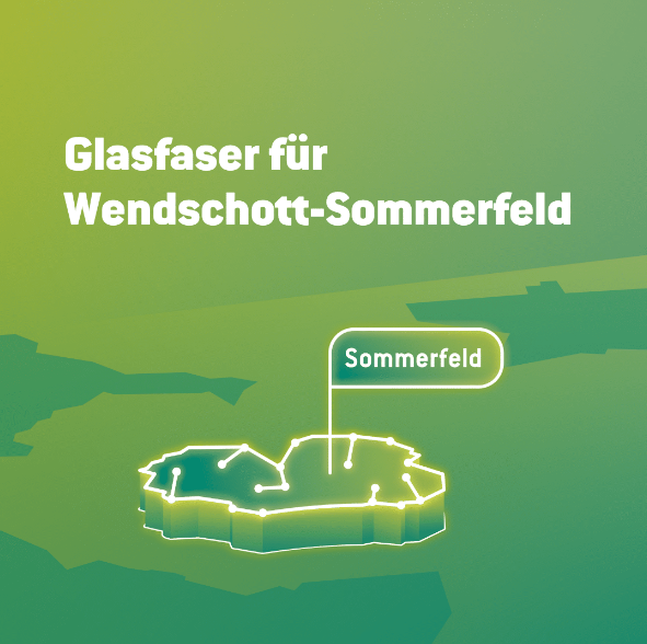 Grüne Grafik zum Gebiet Wendschitt-Sommerfeld